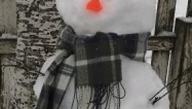 День любимого Снеговика