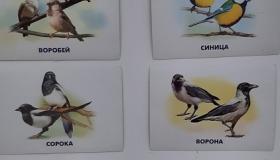 Экологический праздник - День птиц