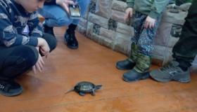 Встреча в выходной день