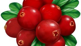 Ай да ягодка, брусничка! Красный шарик и ресничка!