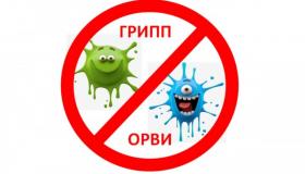 Профилактика гриппа и ОРВИ