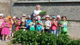 Оживляем огород, пусть на нем добро живет!