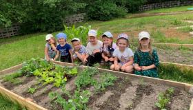 Трудовое воспитание в летний период