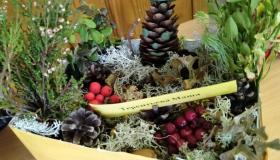 Выставка "Яркие краски осени"