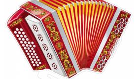 День гармониста