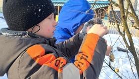 Кормушки доброты