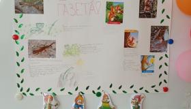 Лесные новости