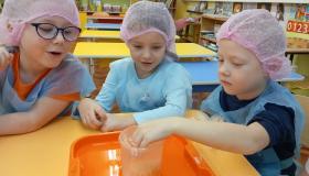 Увлекательные открытия